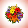Magic Spell (ODD10) - Click here to View more details about this Product